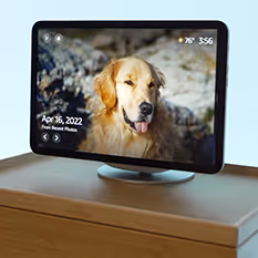 An Amazon Echo device with a dog on the screen.