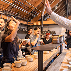 A coffee cupping event for Juniper Square where two employees are high-fiving.