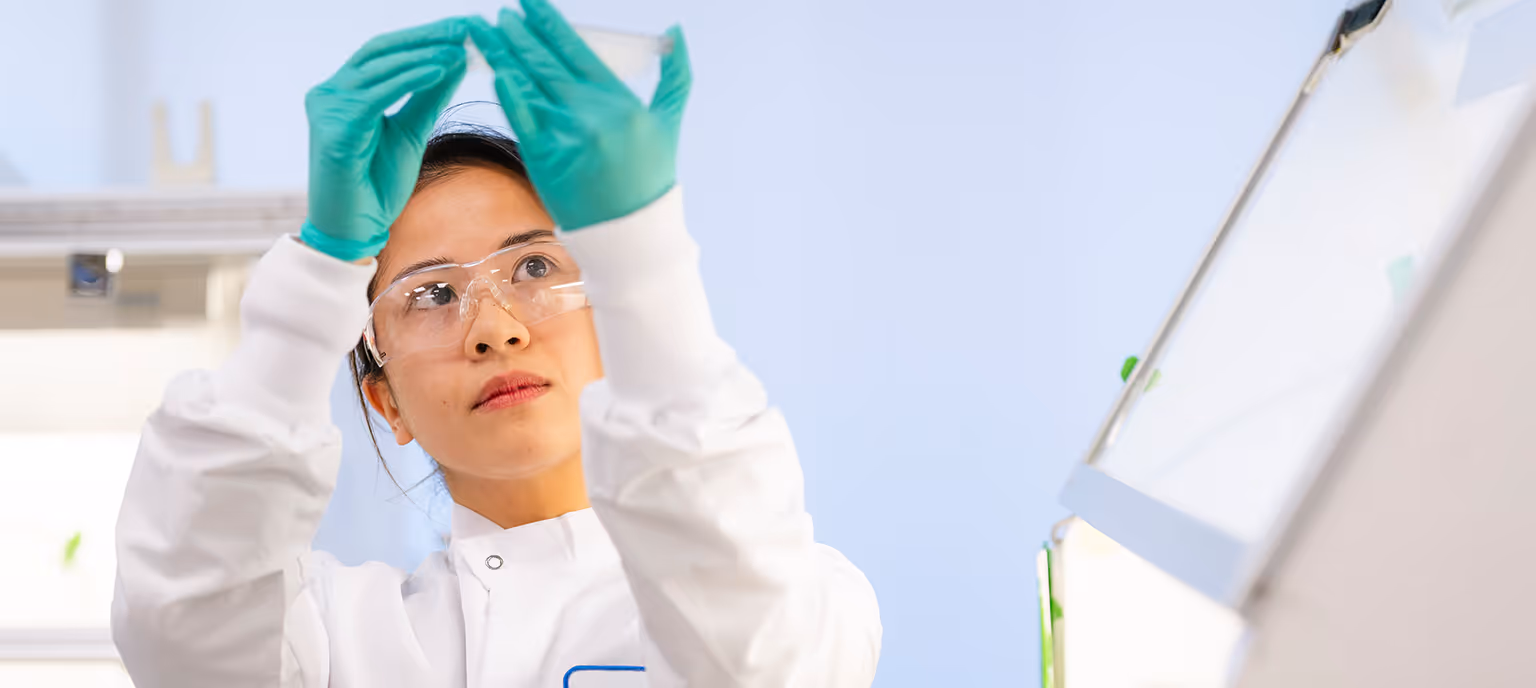 A lab tech inspects a lab sample