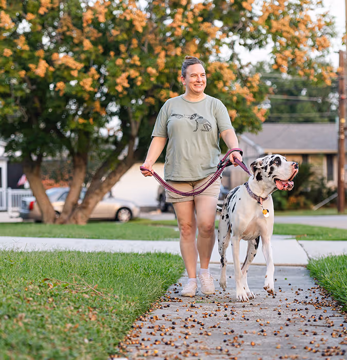 DaVita teammate walks her great dane.