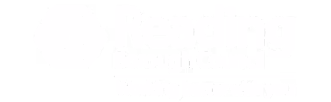 Reading Borough Council logo with a hexagonal emblem.