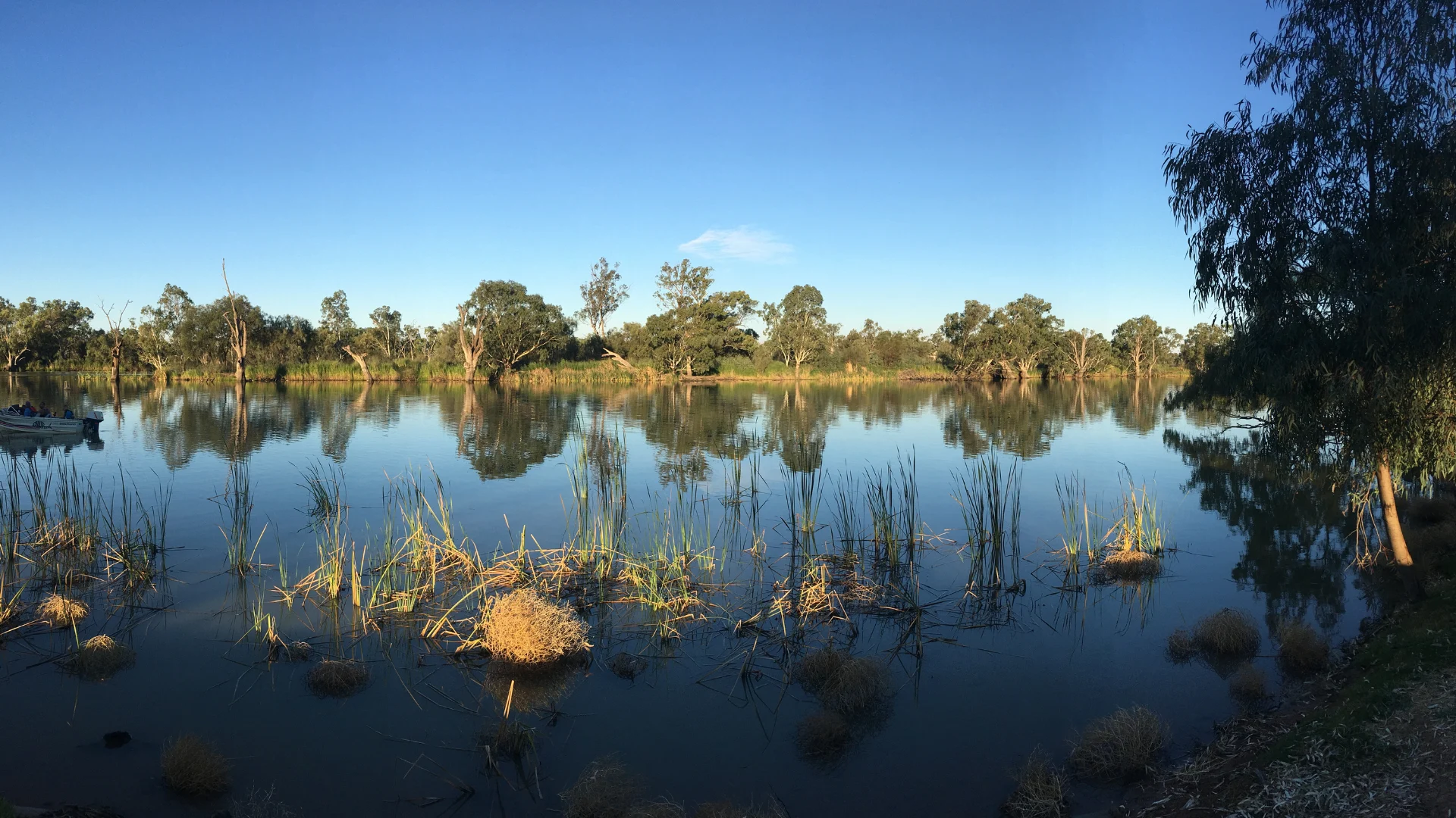 Calm river with reflections of trees and grasses under clear blue sky, with a boat on the left side.