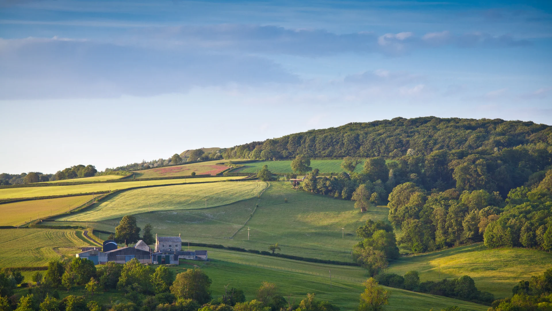 Green rolling countryside with a farmhouse, fields, trees, and a wooded hill under a blue sky.