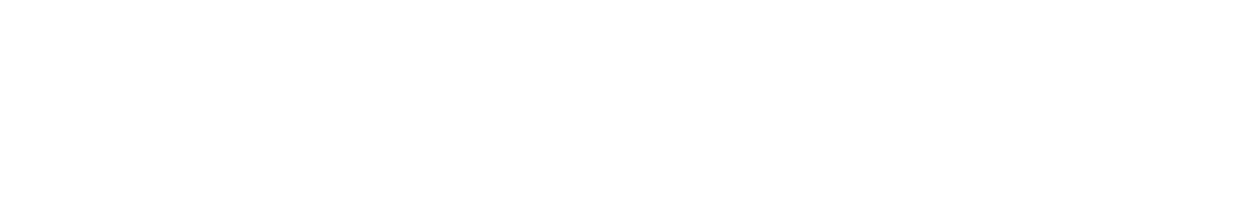 White logo with black text reading 'SENEDD CYMRU THE SENEDD' on a white background.