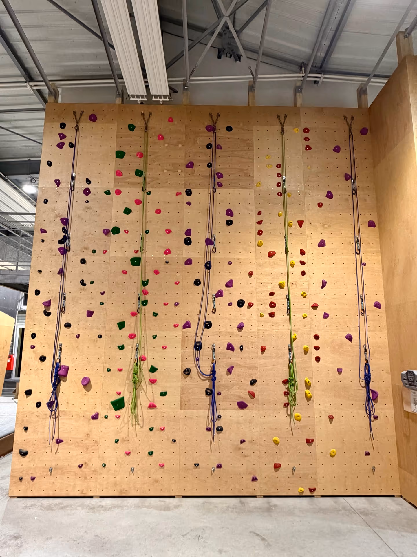 Wooden climbing wall with six black climbing holds near the top edge.