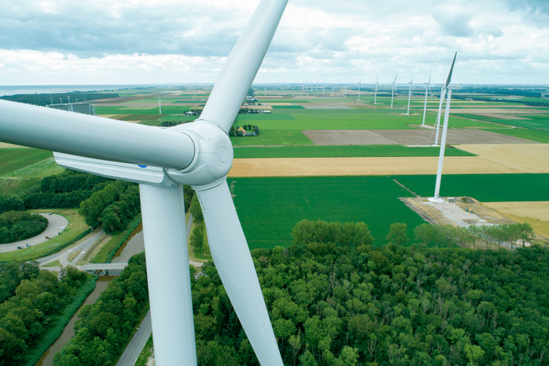 Romy draagt als projectcoördinator bij aan de energietransitie in Nederland.
