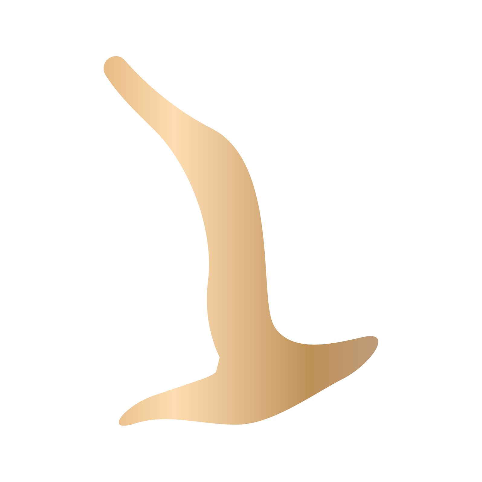 Gold seagull icon representing the Porta Rai brand on a transparent background.