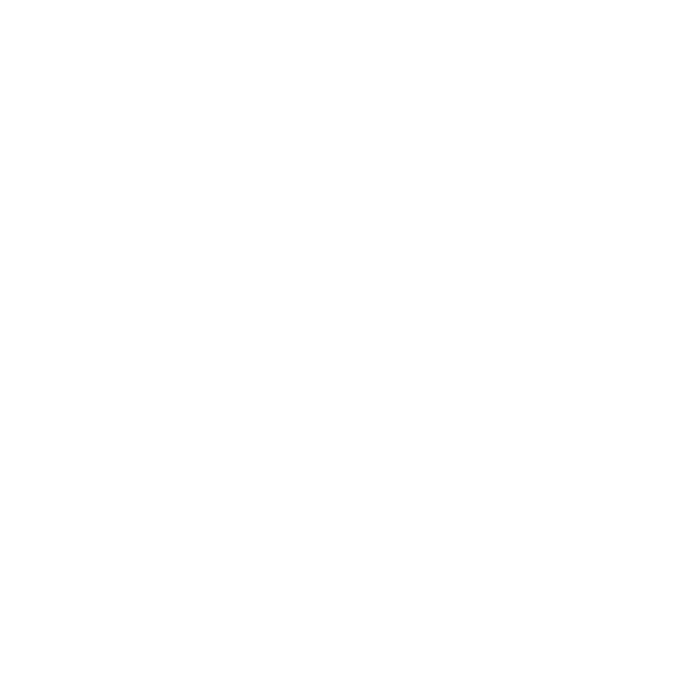 US Air Force