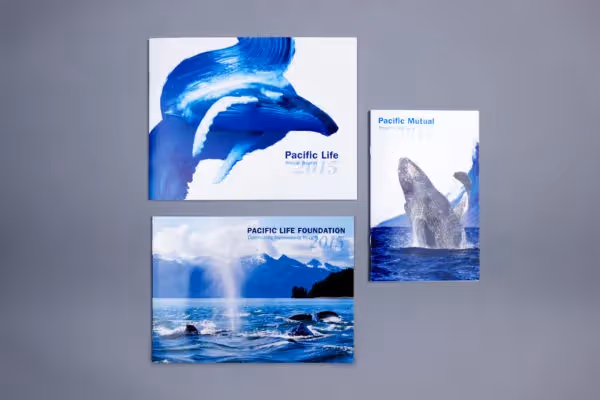 Aegis Annual report design powerpoint