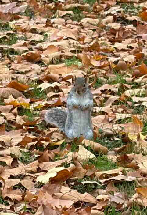 Screenshot 2025-11-08 at 09.22.43.jpg