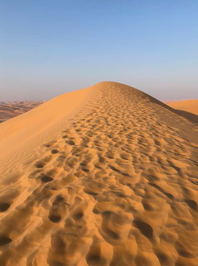 Screenshot 2025-12-07 at 08.54.35.jpg