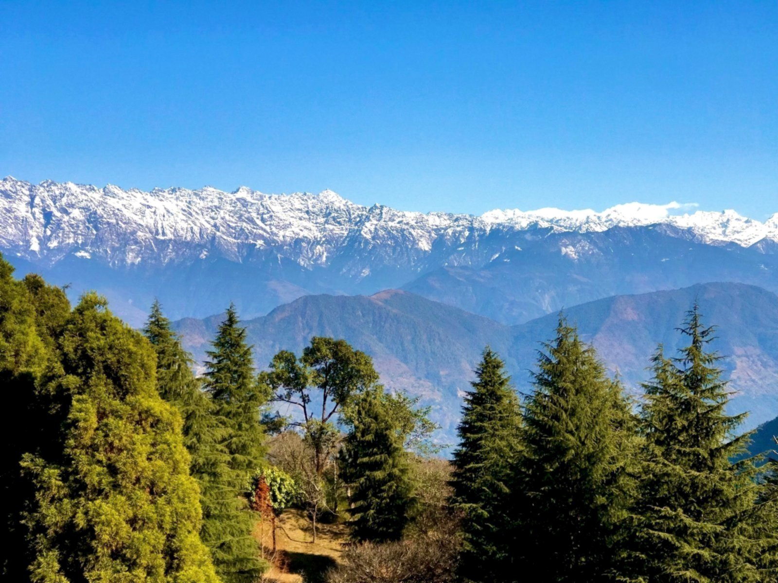 Dhap, 3000 m — jour 13 du trek Rebuild, Teraï et Solukhumbu au Népal.