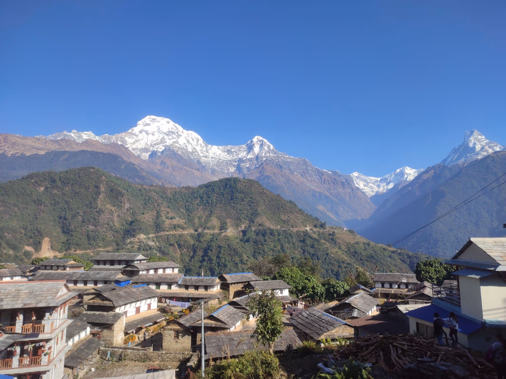 Sommet himalayen encadré par la végétation et les fleurs