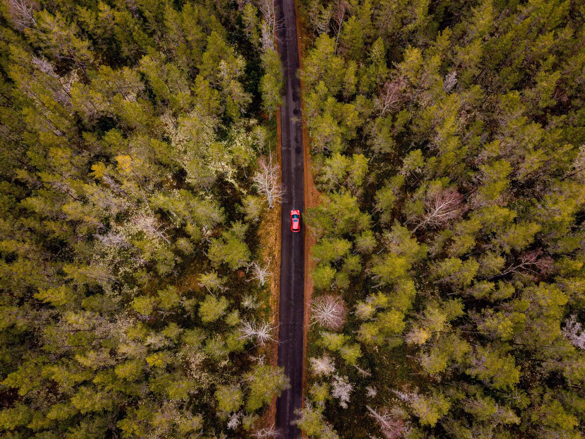 Route forestière vers les Écrins — week-end pour s'émerveiller.