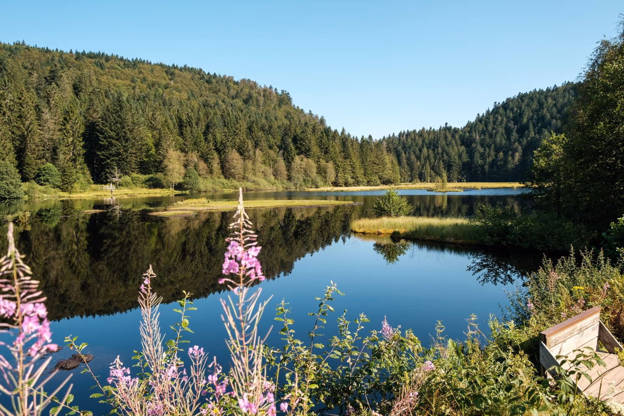 HAUT-GAZON > TÊTE DES CERFS, 1 100 m — jour 2 du trek Vosges en Hamac, massif des Vosges en France.