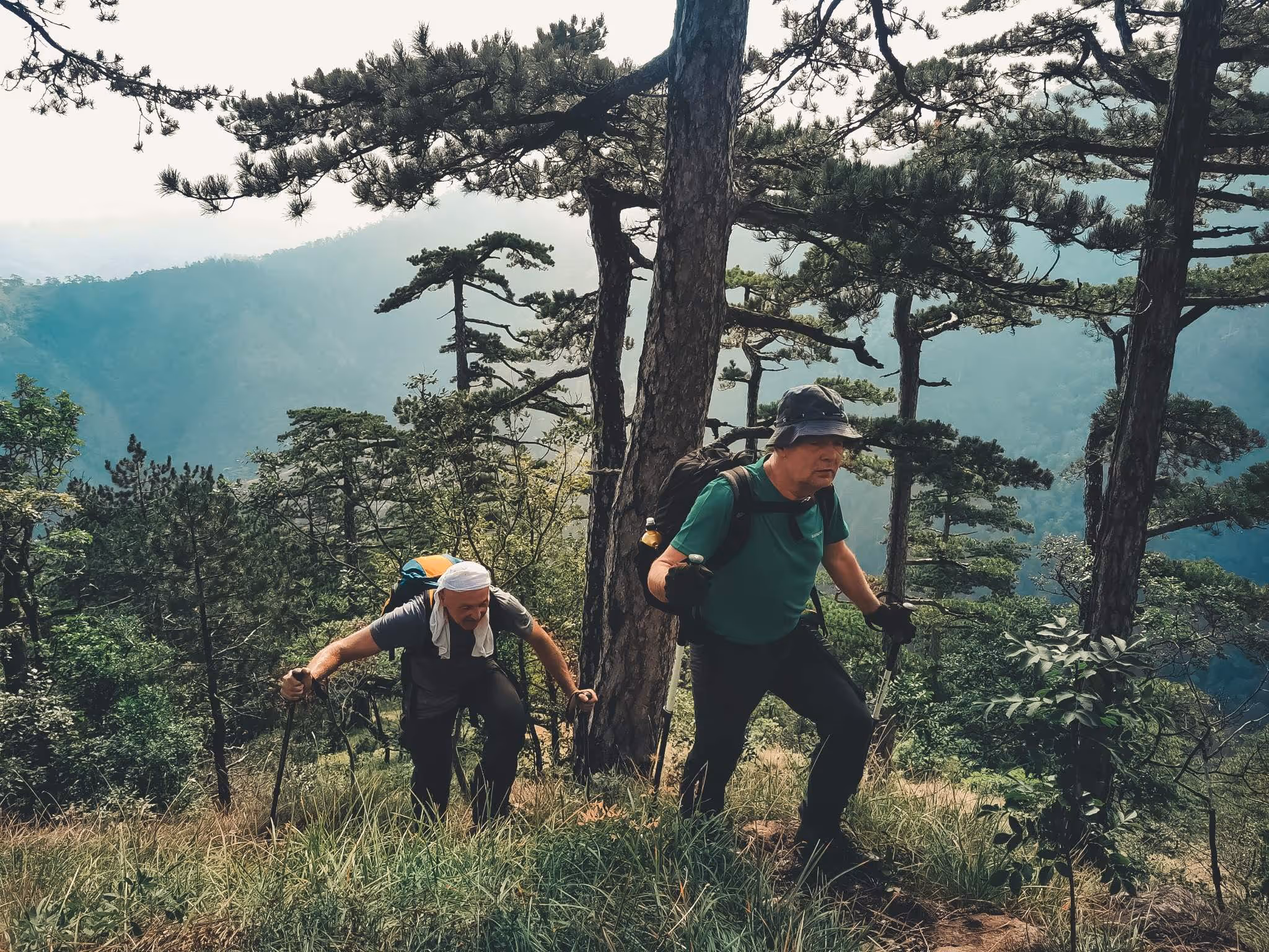 Groupe de randonneurs seniors en marche — séjour Outdoor 60+.