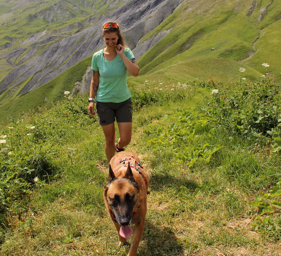 Randonnée en montagne avec un chien en Savoie — week-end La Meute.