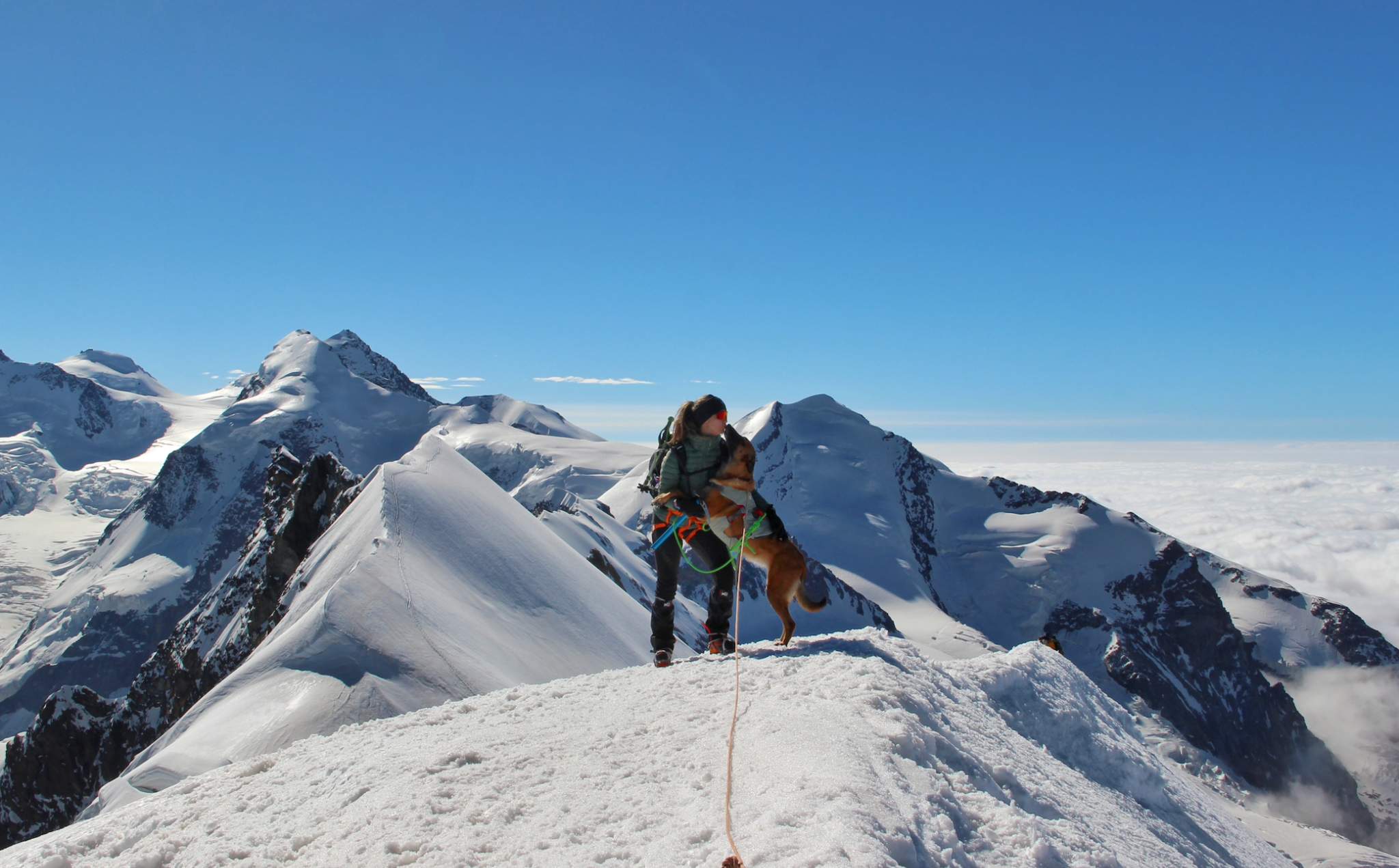 Sommet alpin à plus de 3 000 m, lacs et vallées sauvages — trek Peaks & Paws dans les Alpes.