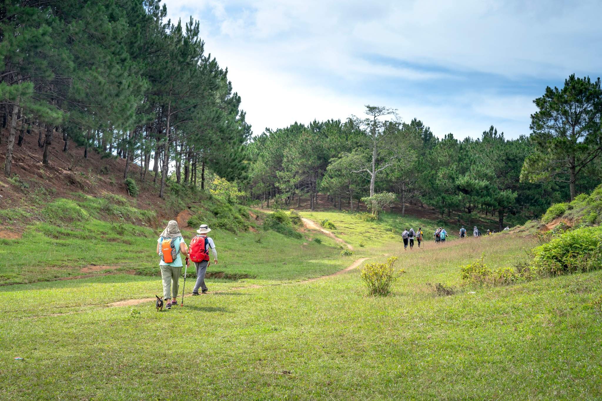 Groupe en marche nordique sur le plateau des Bauges — séjour Outdoor 60+.