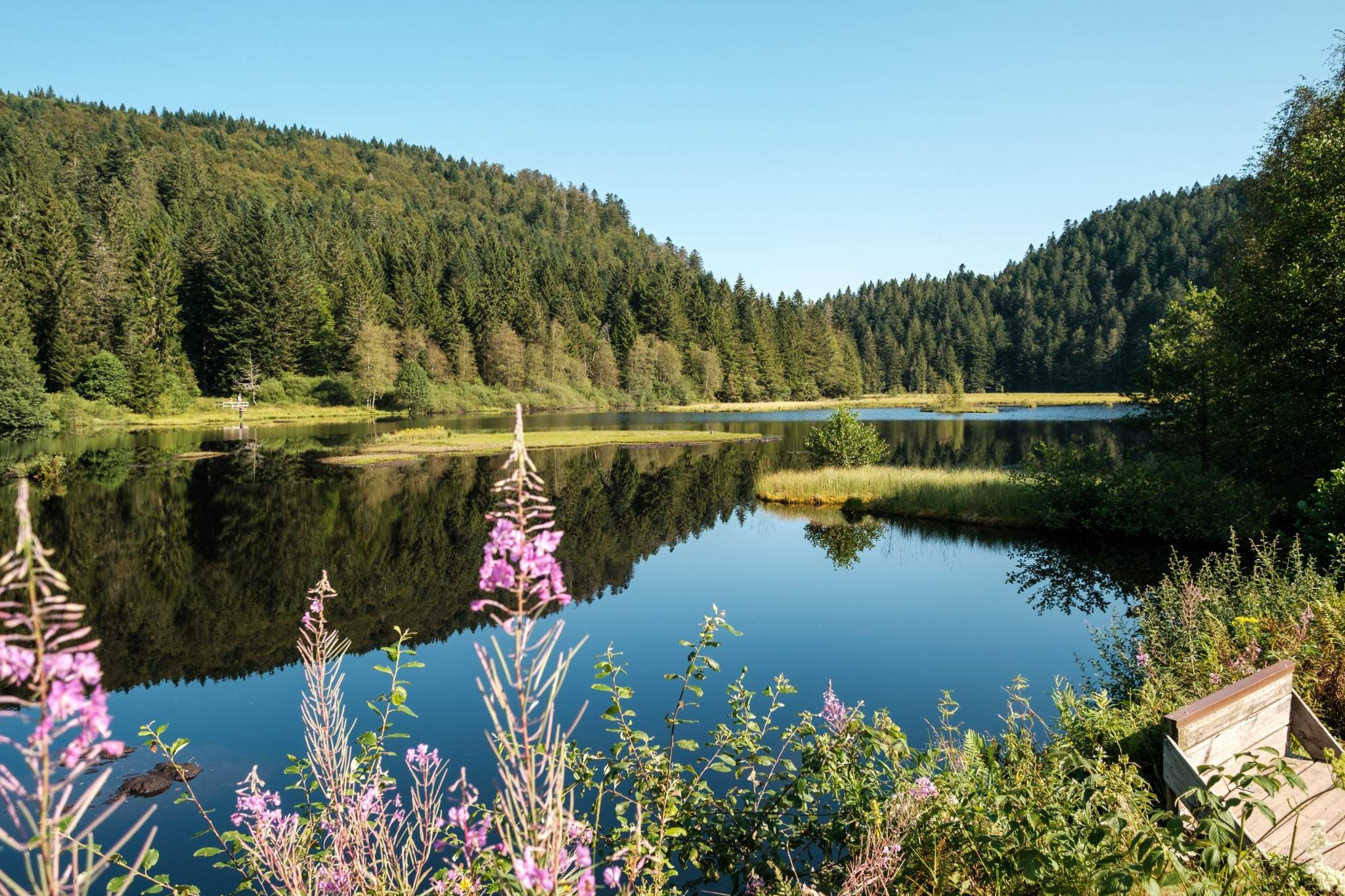 Lac et crêtes boisées du massif des Vosges — trek Vosges en Hamac.