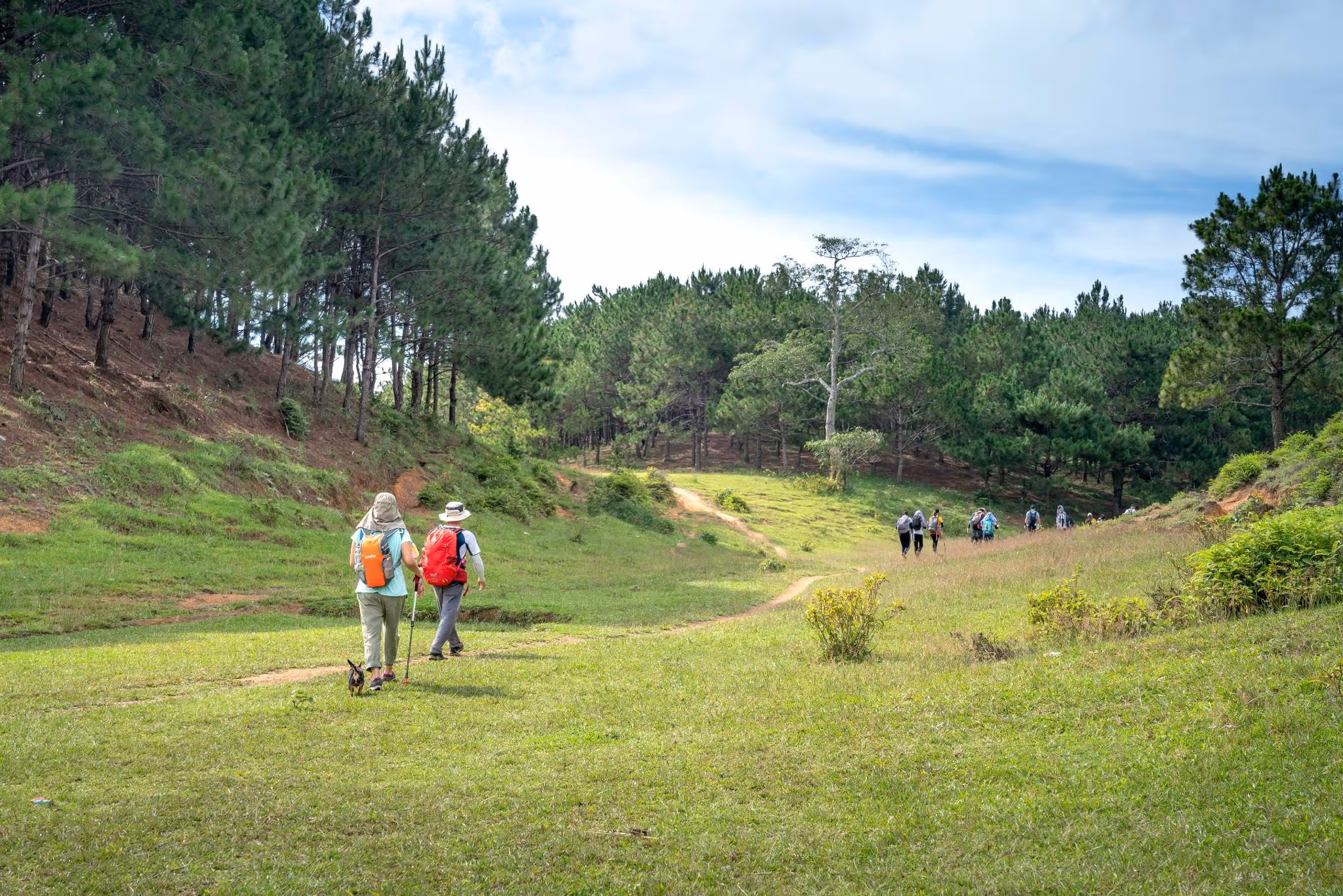 Groupe en marche nordique dans les Bauges — séjour Outdoor 60+.