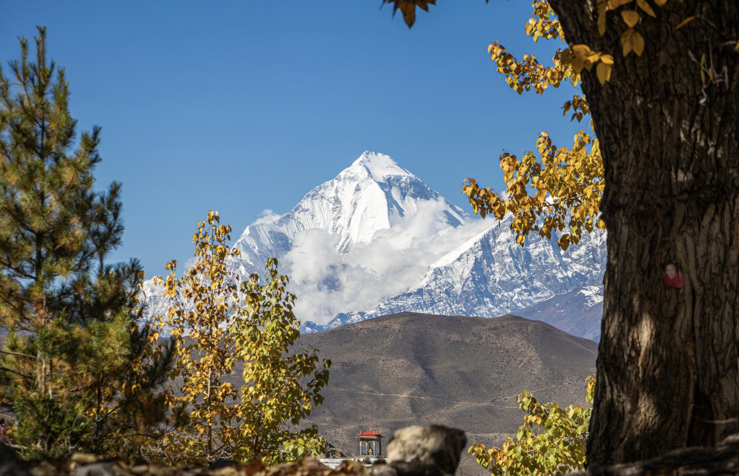 Sentier de trek dans l'Himalaya népalais sous un ciel dégagé