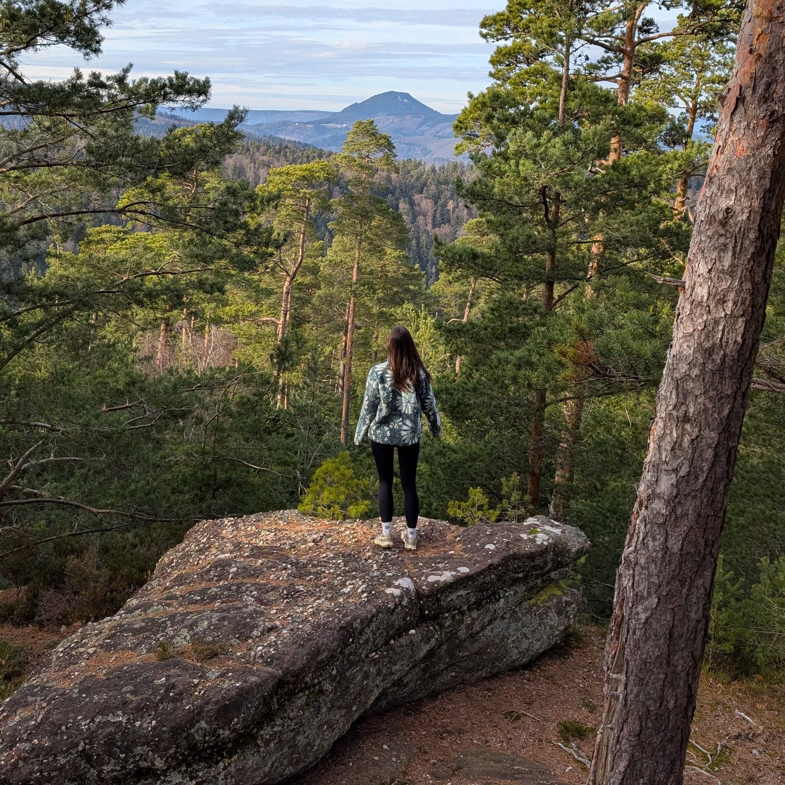 Randonneuse sur un rocher face à la forêt et aux montagnes, séjour Solo mais pas trop.