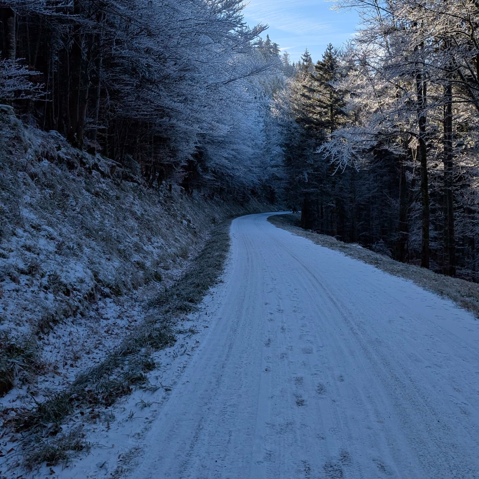 Chemin de montagne givré entre les sapins, froid de l'hiver vosgien, séjour Raquettes flow.