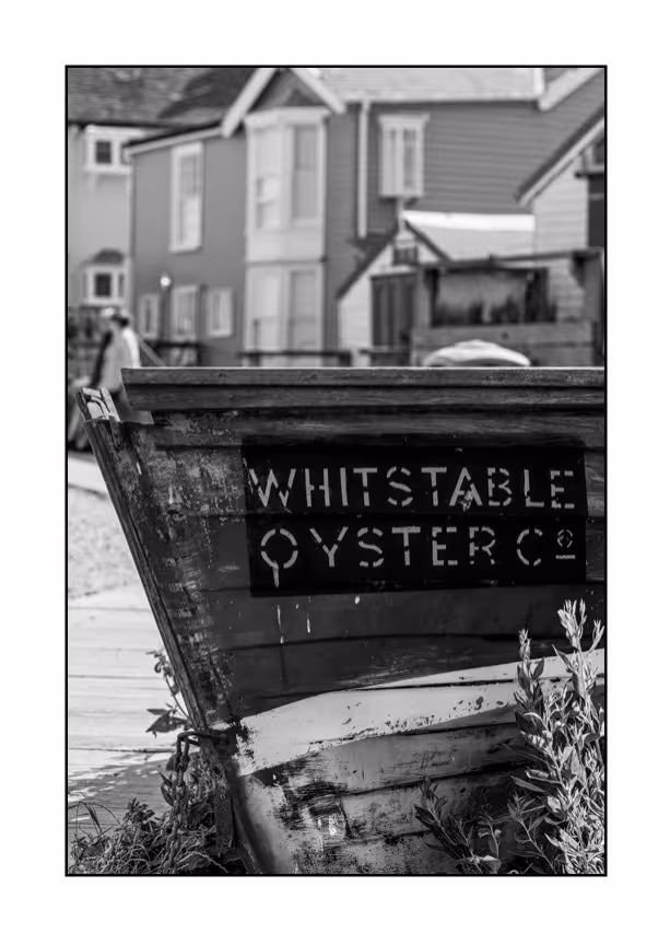 Whitstable Oyster