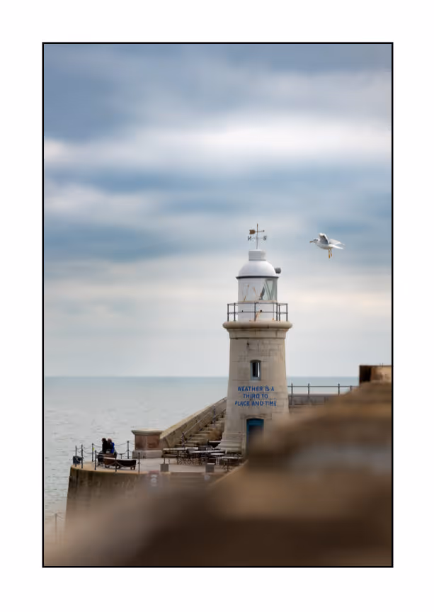Seagull & Lighthouse