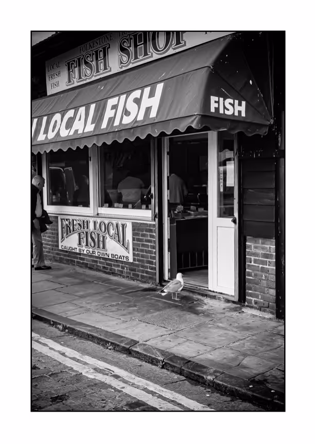 Chippy Seagull