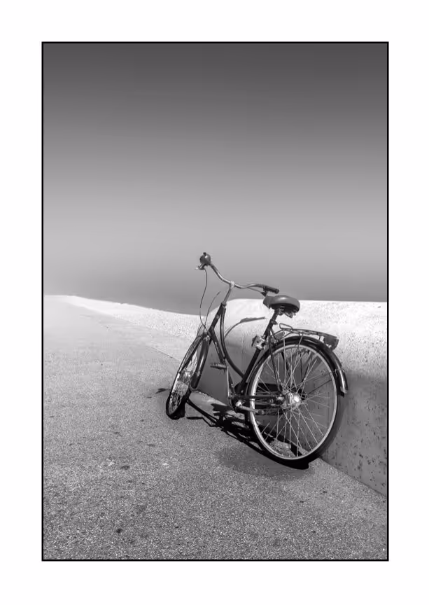 Deal Bike