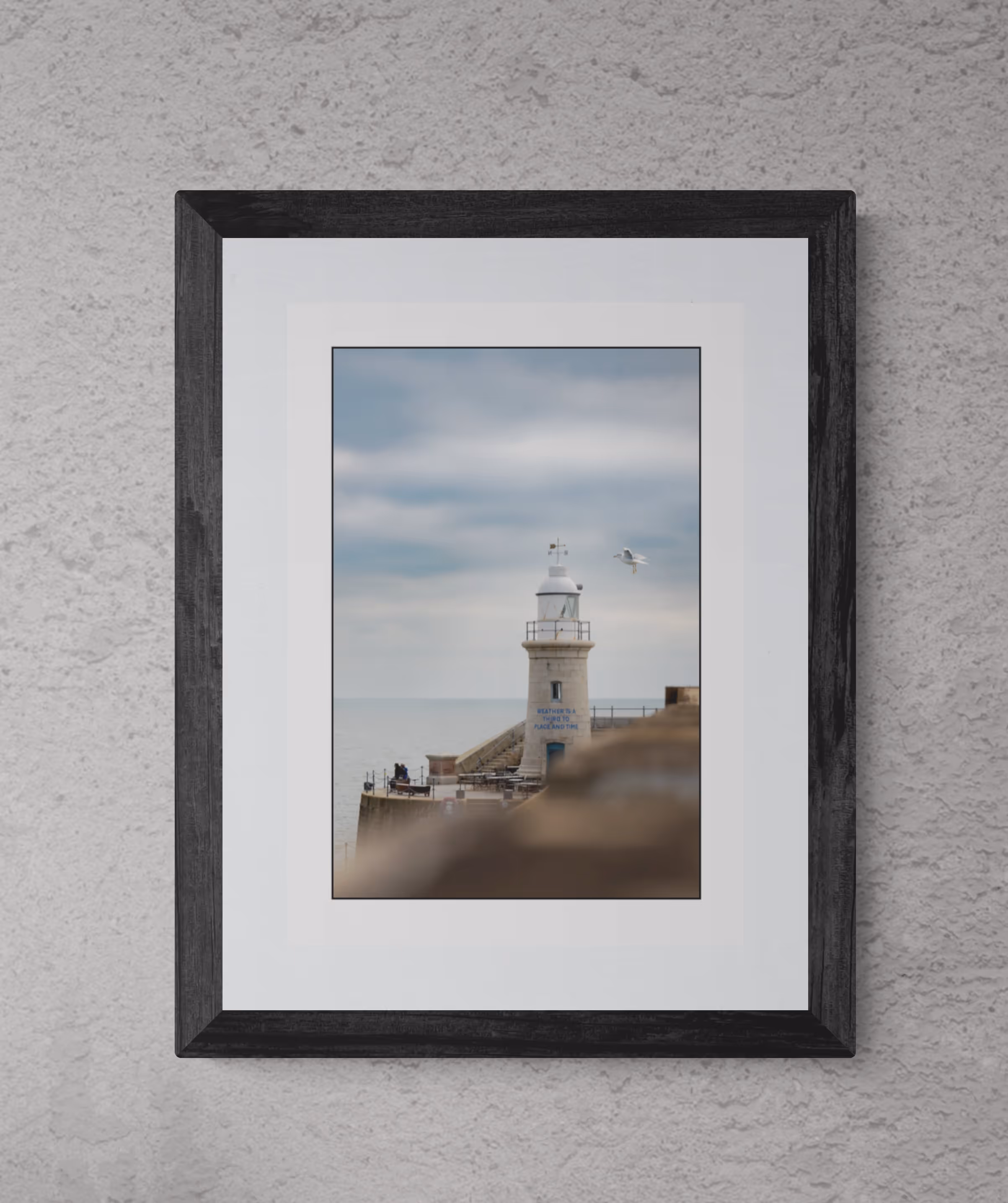 Seagull & Lighthouse