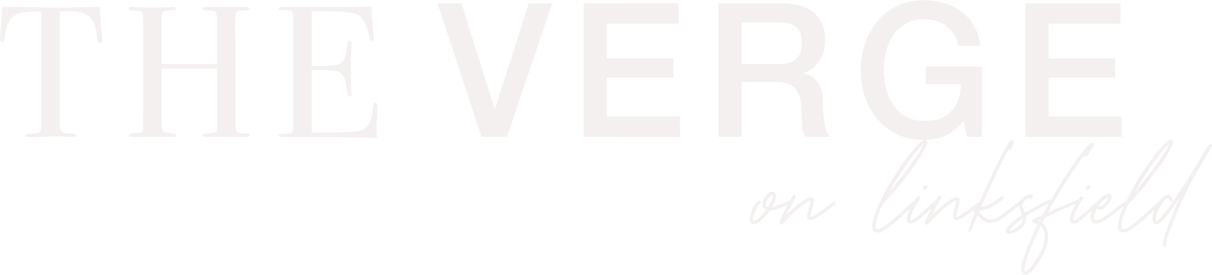 The Verge Logo
