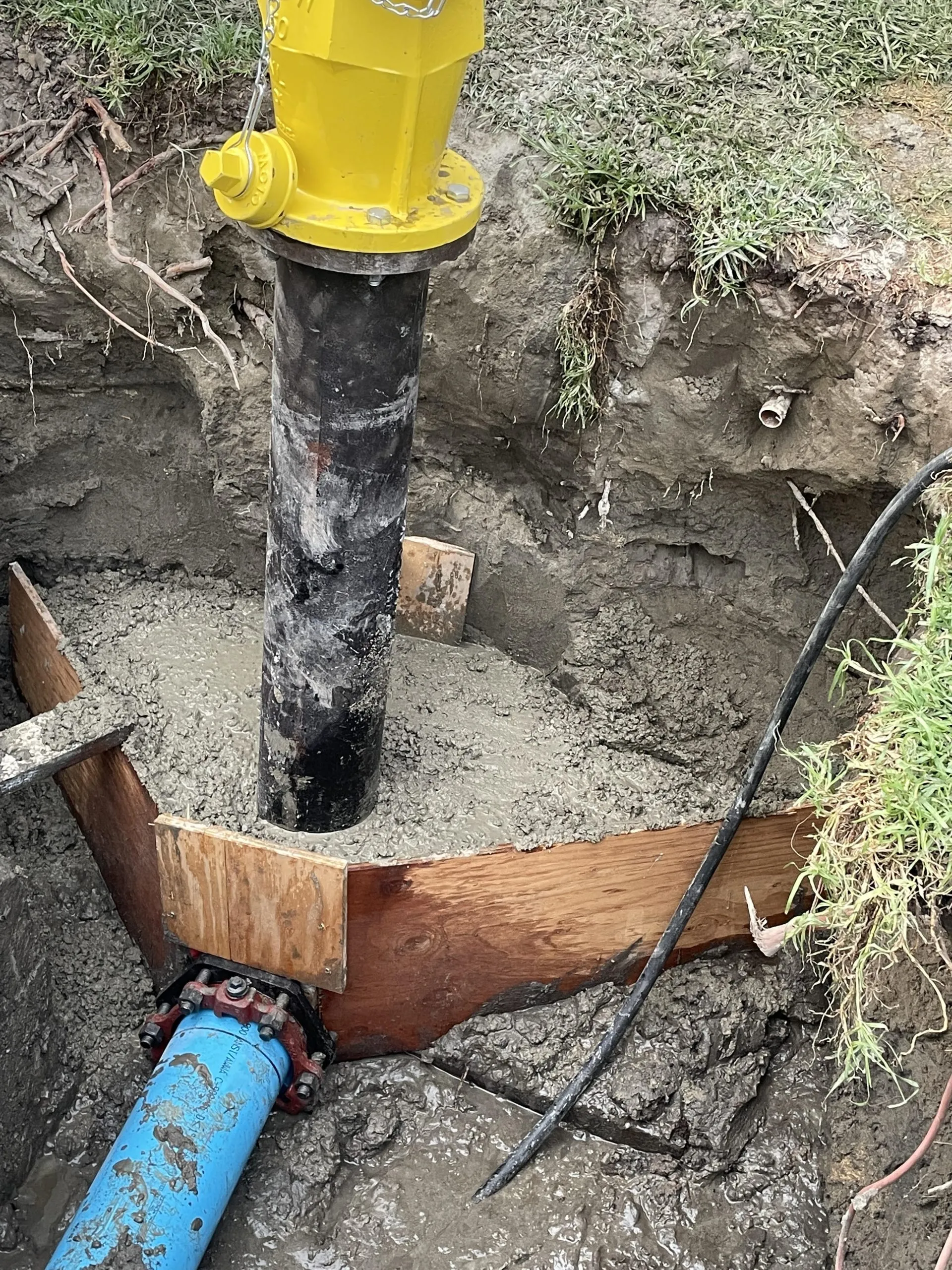 Yellow fire hydrant being encased in concrete with a blue water pipe connected at the base during repair work.