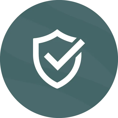 safety icon