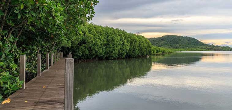 อ่าวคุ้งกระเบน