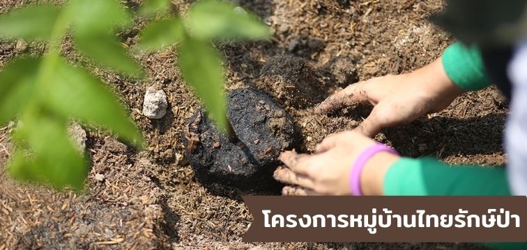 โครงการหมู่บ้านรักษ์ป่า