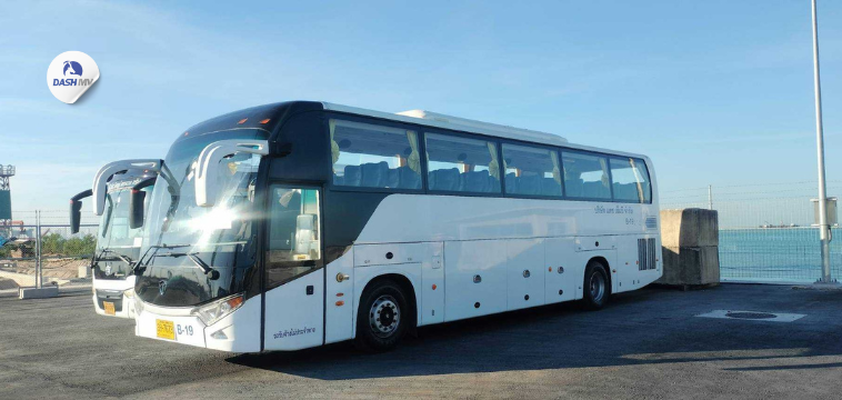 รถบัส DASH MV