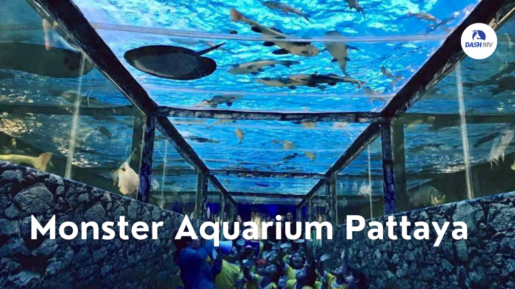 Monster Aquarium Pattaya