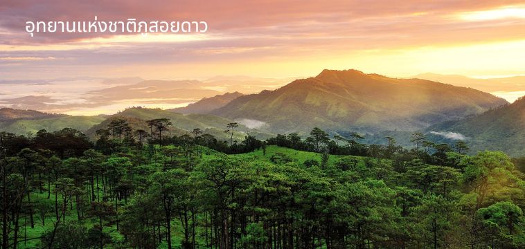 อุทยานแห่งชาติภูสอยดาว