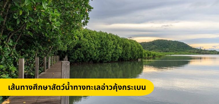 ศึกษาป่าชายเลนและสัตว์น้ำทางทะเลอ่าวคุ้งกระเบน