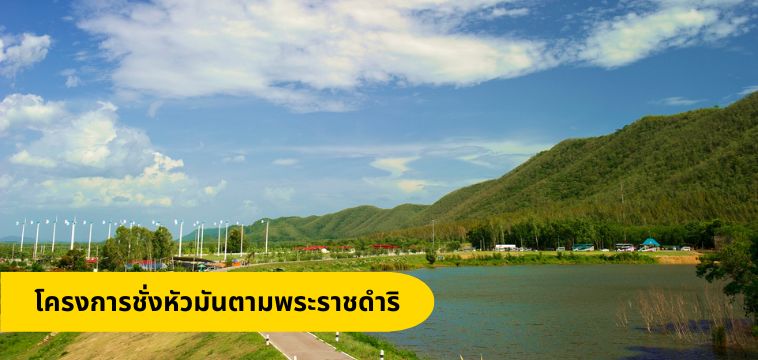 โครงการชั่งหัวมันตามพระราชดําริ