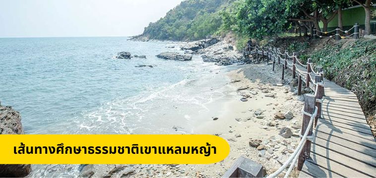 ศึกษาธรรมชาติเขาแหลมหญ้า