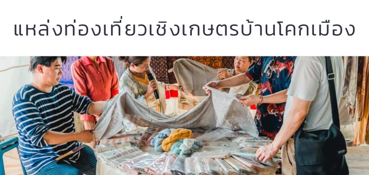 บ้านโคกเมือง