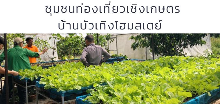 ชุมชนท่องเที่ยวเชิงเกษตรบ้านบัวเทิงโฮมสเตย์