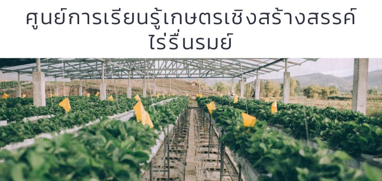 ศูนย์การเรียนรู้เกษตรเชิงสร้างสรรค์ ไร่รื่นรมย์ จังหวัดเชียงราย