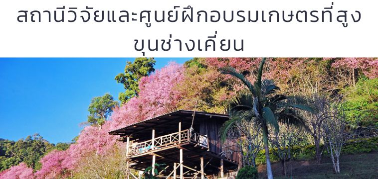 ขุนช่างเคี่ยน