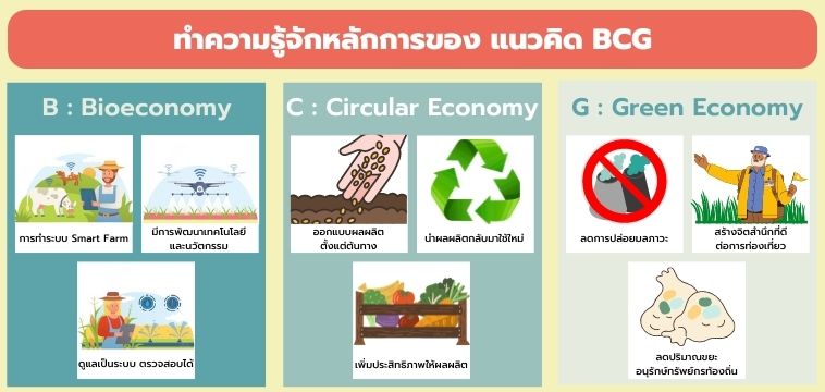 ทำความรู้จักหลักการของ แนวคิด BCG