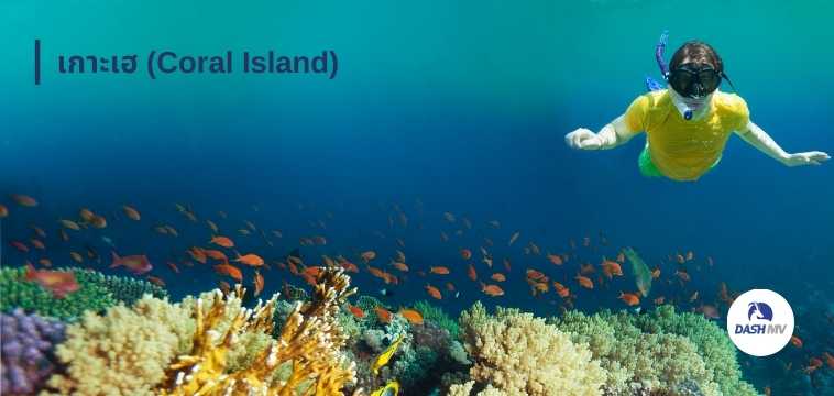 เกาะเฮ (Coral Island)